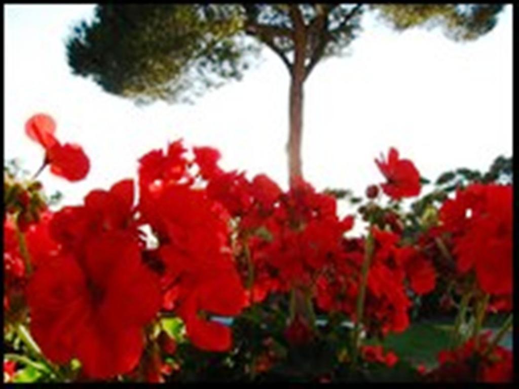La Tangana Bed and Breakfast Rognes Buitenkant foto