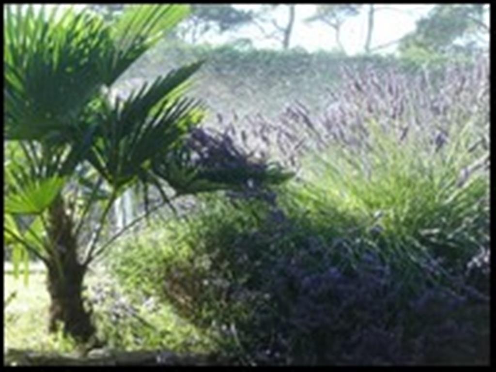 La Tangana Bed and Breakfast Rognes Buitenkant foto